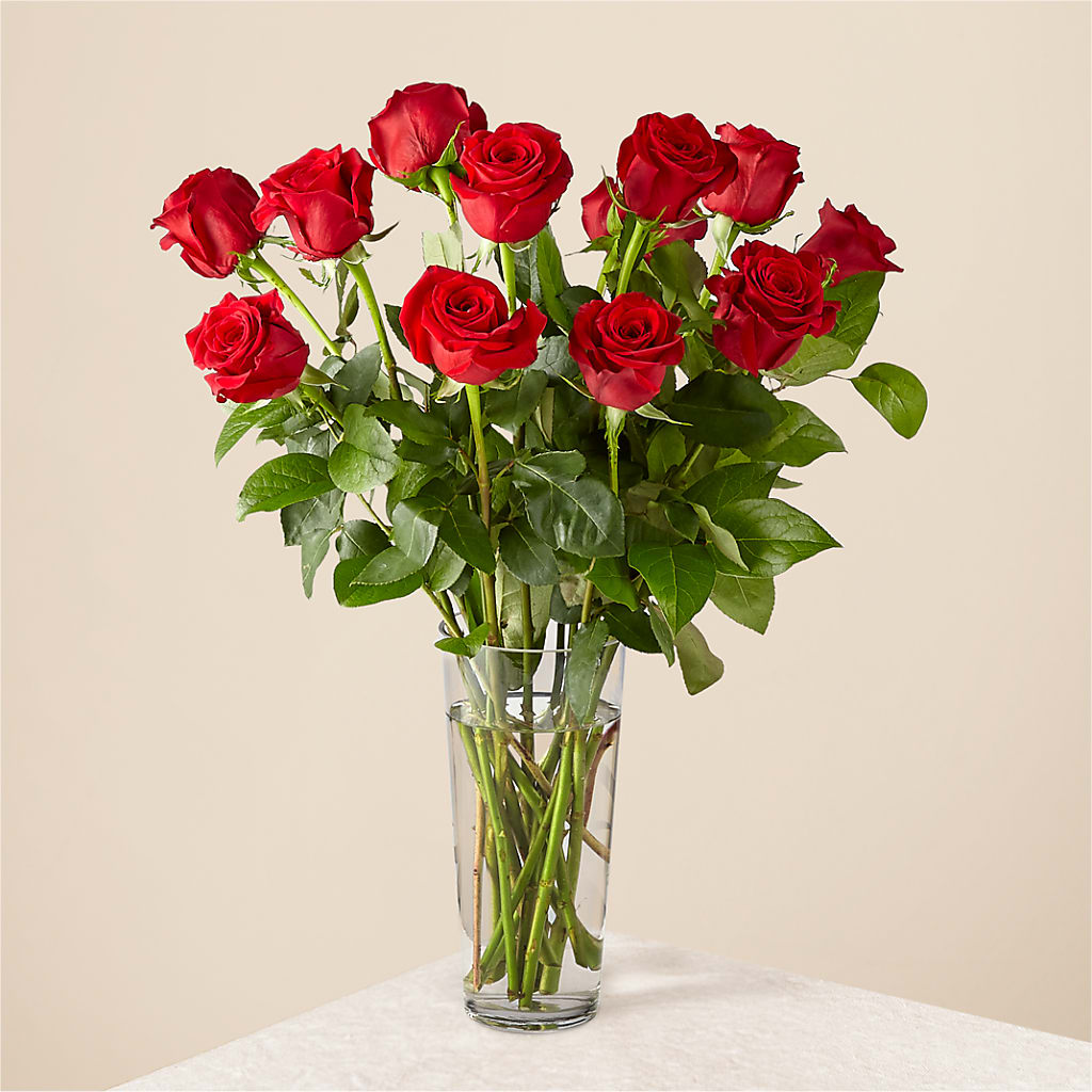Long Stem Red Rose Bouquet – Elise Flowers, Tamarac FL