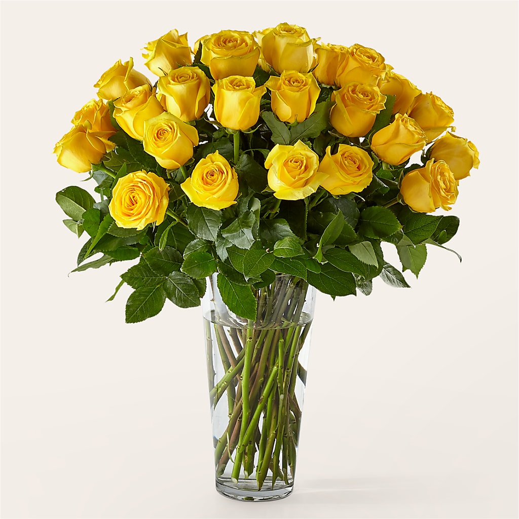 Long Stem Yellow Rose Bouquet – Elise Flowers, Tamarac FL