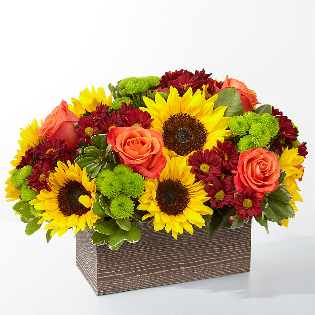 Happy Harvest Garden – Elise Flowers, Tamarac FL