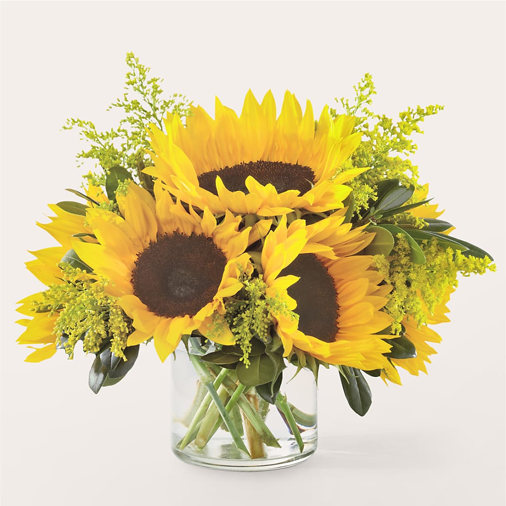 Beaming Sunflower Bouquet – Elise Flowers, Tamarac FL