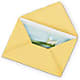 Greeting Card – Elise Flowers, Tamarac FL