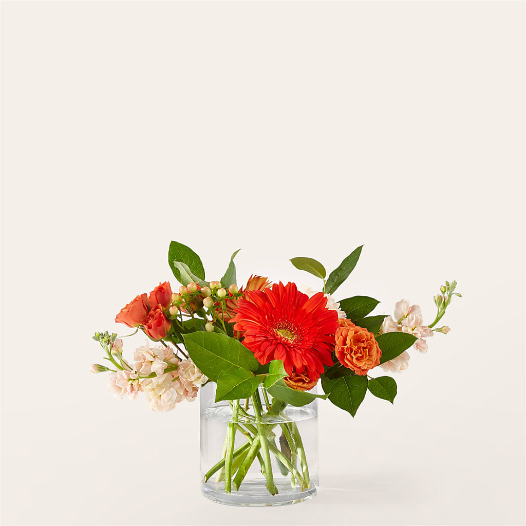Paloma Please Bouquet – Elise Flowers, Tamarac FL