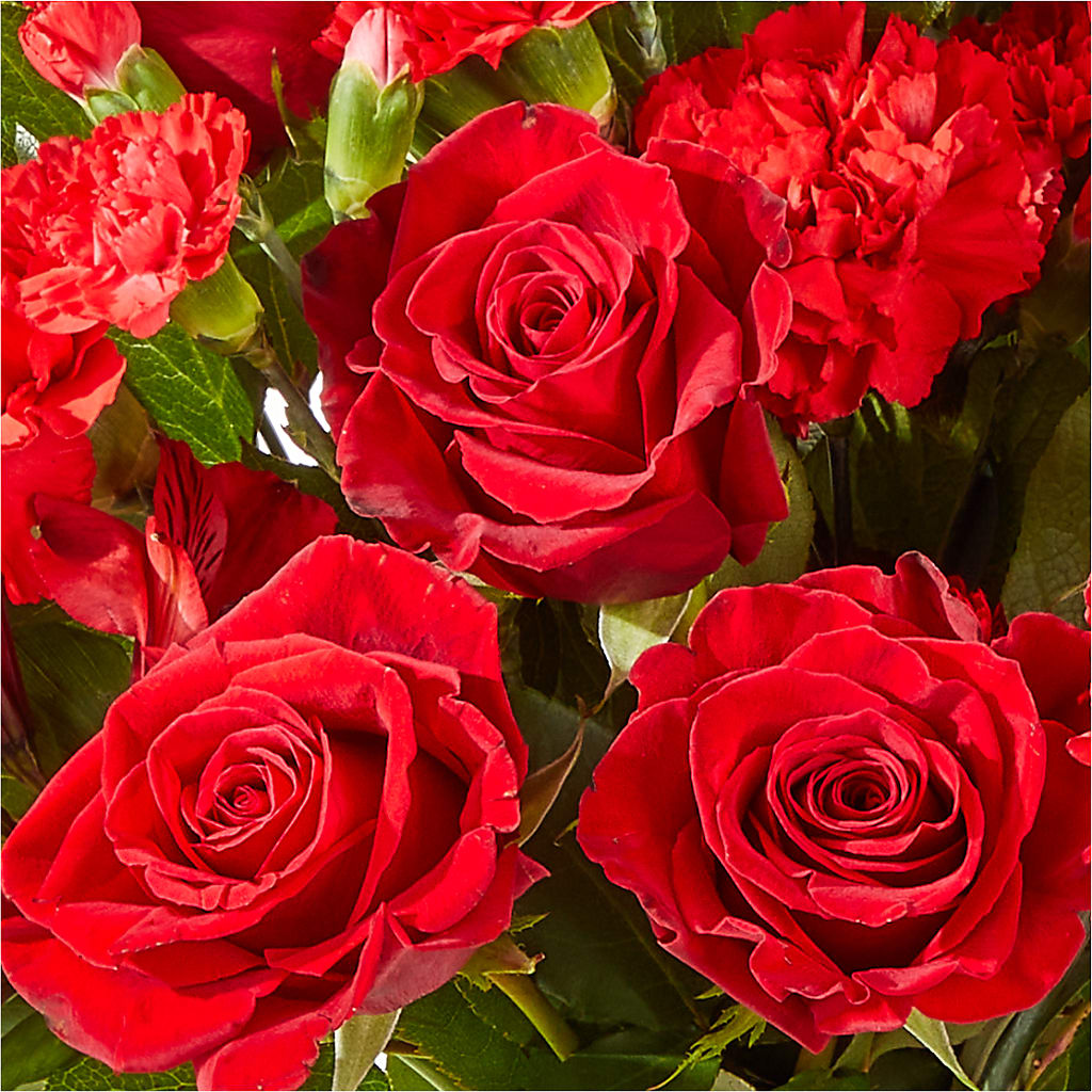 The Heartstrings Bouquet – Elise Flowers, Tamarac FL