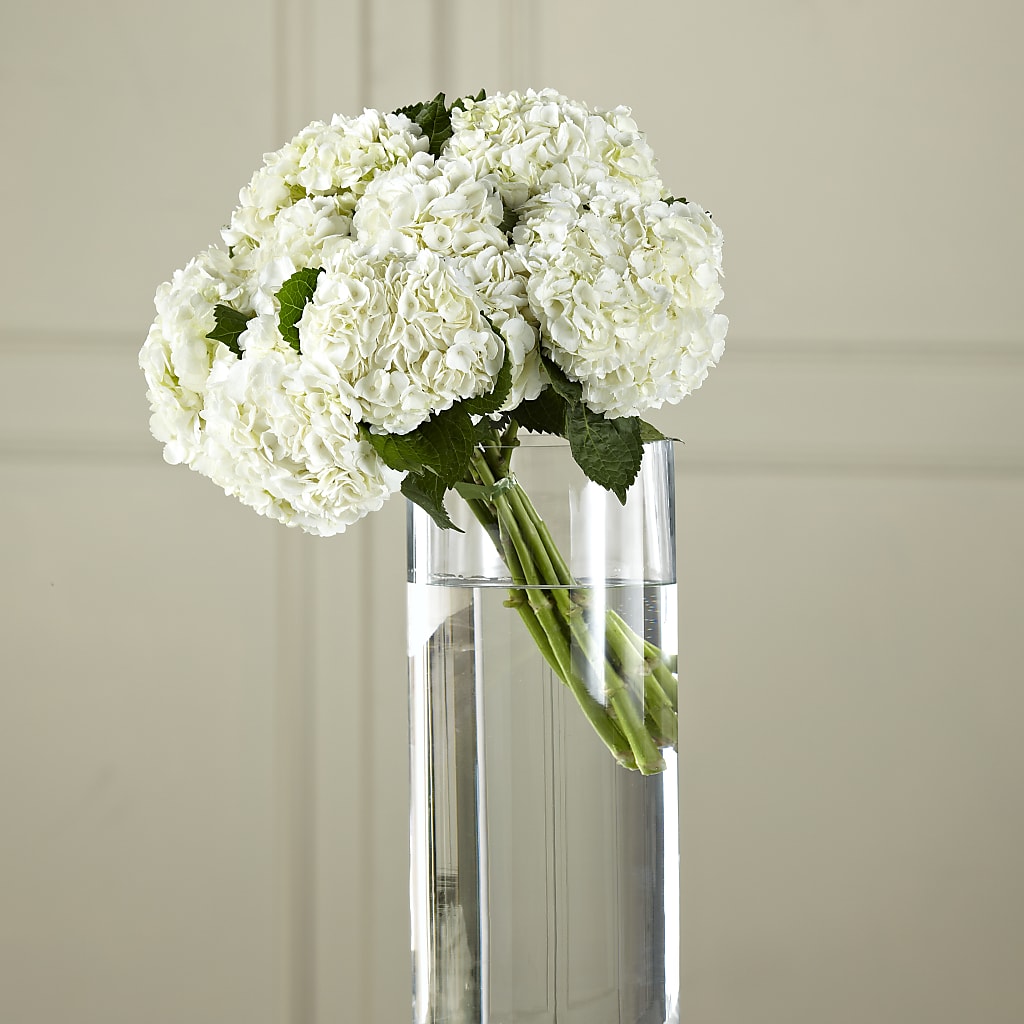 White Hydrangea Hand-Tied Bouquet – Elise Flowers, Tamarac FL