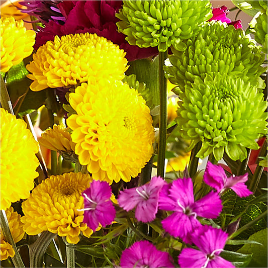 Bold & Bright – A Florist Original –  Elise Flowers, Tamarac FL