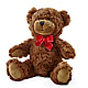 Adorable Plush Bear –  Elise Flowers, Tamarac FL