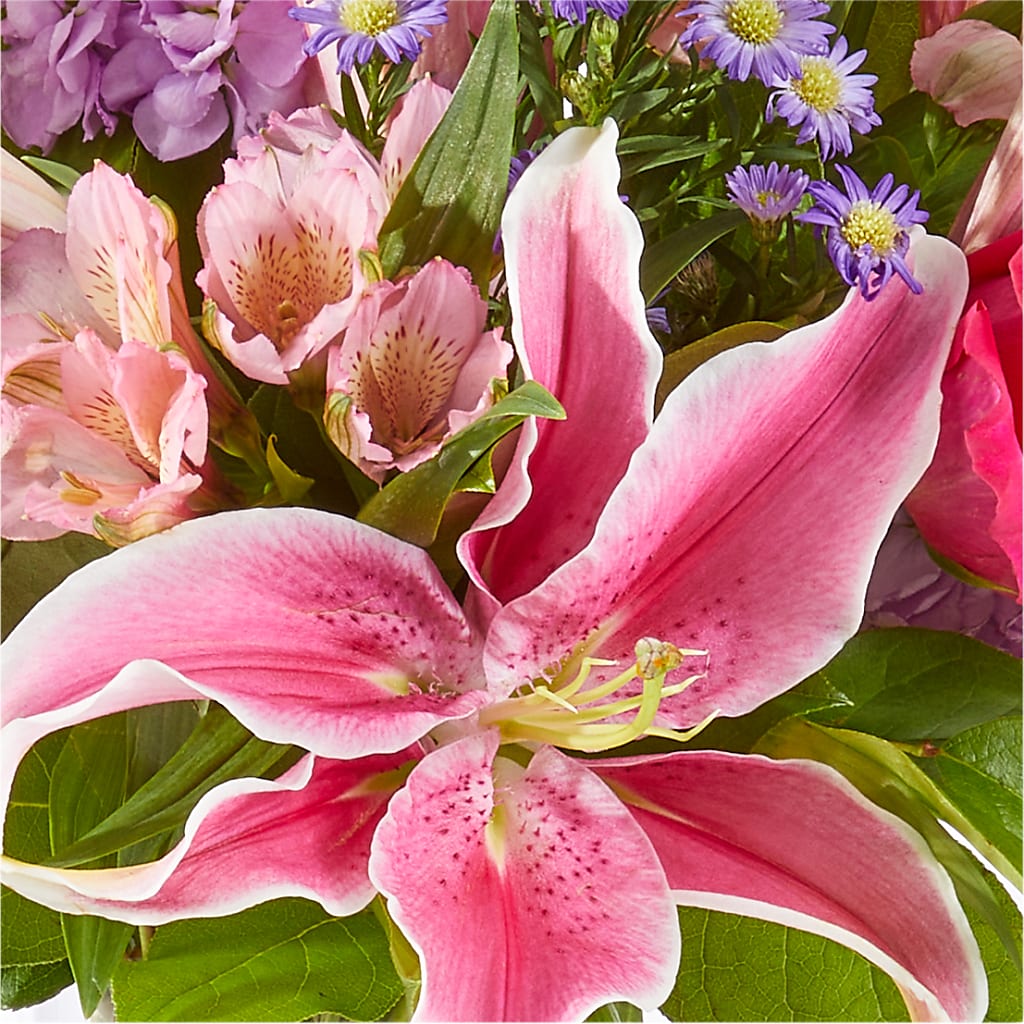 Written in the Stars Bouquet –  Elise Flowers, Tamarac FL