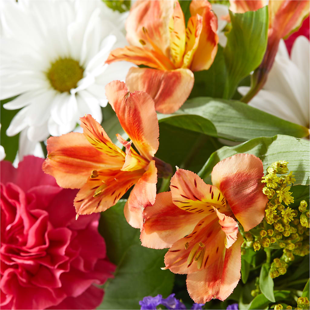 Oopsie Daisy Box Bouquet –  Elise Flowers, Tamarac FL