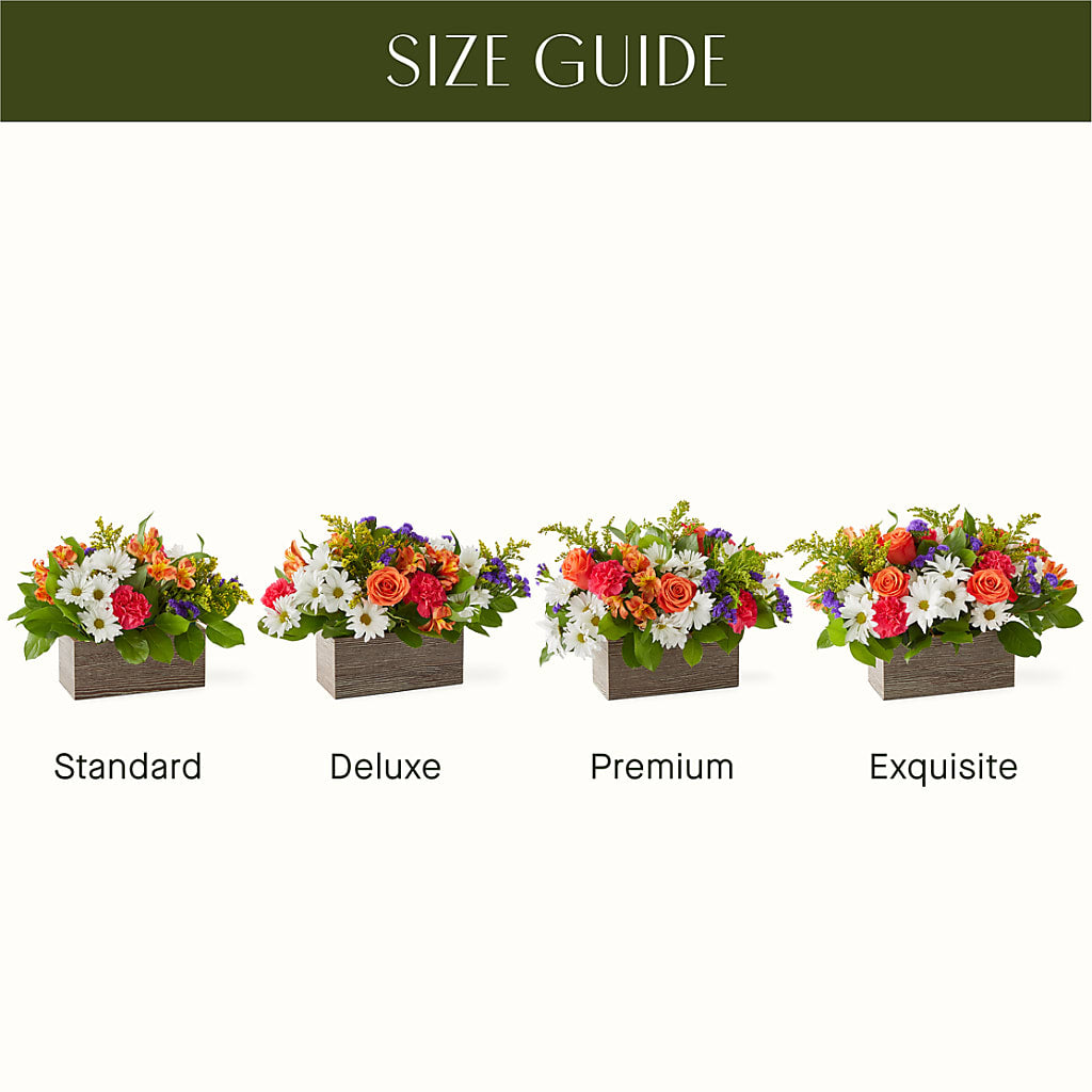 Oopsie Daisy Box Bouquet –  Elise Flowers, Tamarac FL