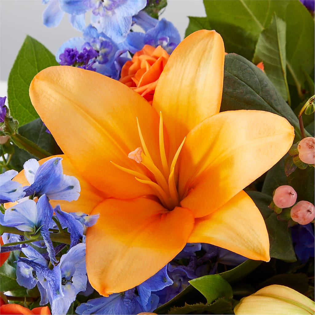 Radiant Citrus Box Bouquet –  Elise Flowers, Tamarac FL
