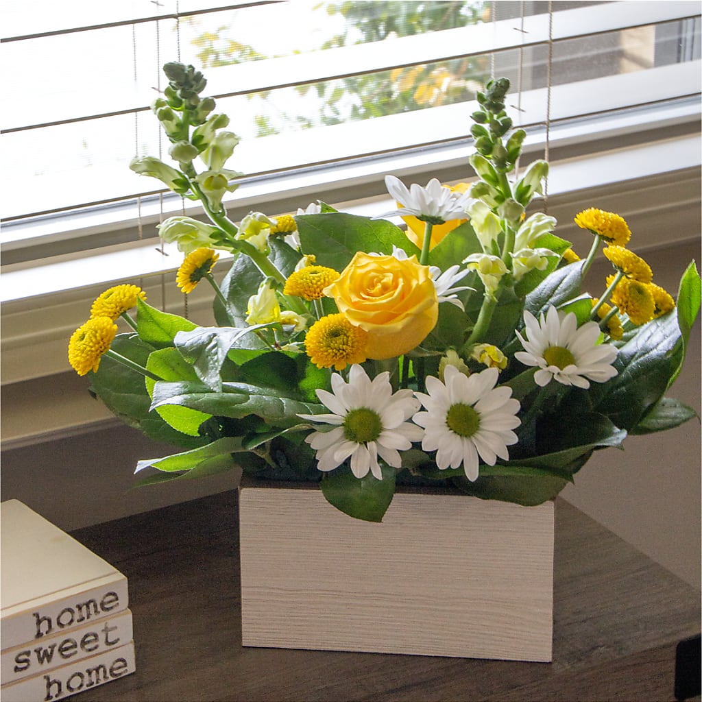 Sun Salutation Box Bouquet –  Elise Flowers, Tamarac FL