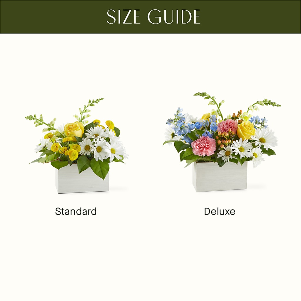 Sun Salutation Box Bouquet –  Elise Flowers, Tamarac FL