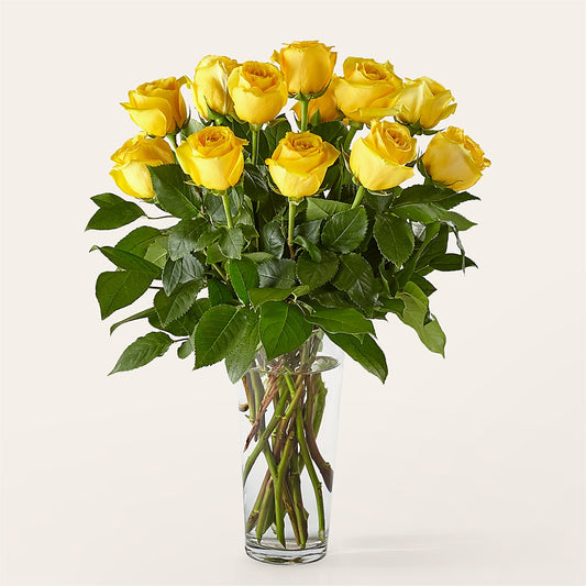 Long Stem Yellow Rose Bouquet –  Elise Flowers, Tamarac FL