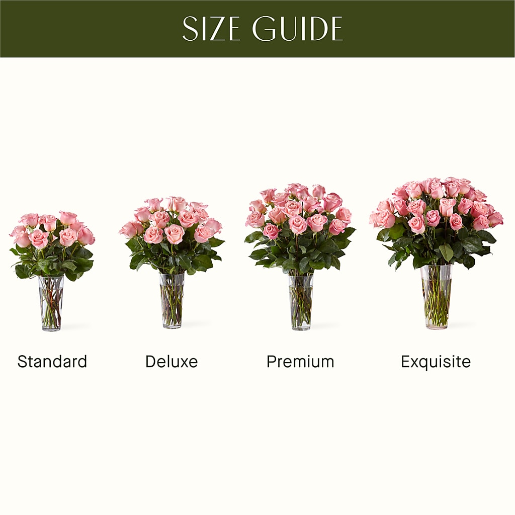 Long Stem Pink Rose Bouquet –  Elise Flowers, Tamarac FL