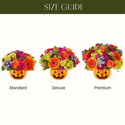 Tricks & Treats Pumpkin –  Elise Flowers, Tamarac FL