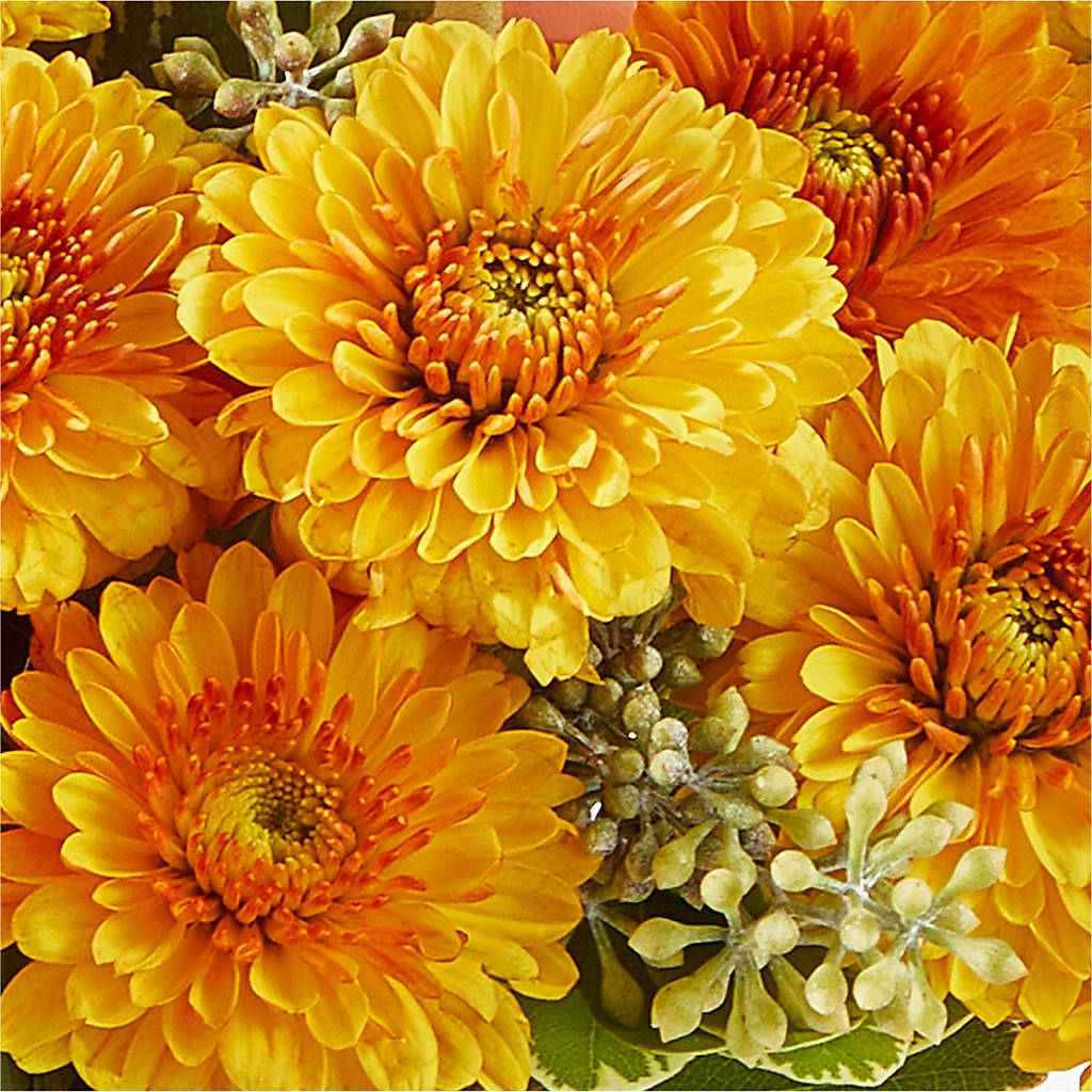 Peachy Pumpkin –  Elise Flowers, Tamarac FL