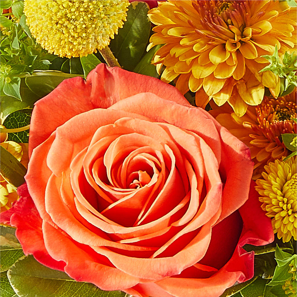 Gourdgeous Pumpkin –  Elise Flowers, Tamarac FL