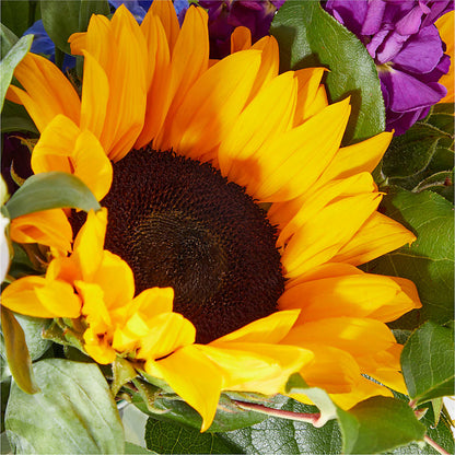 Catching Rays Bouquet –  Elise Flowers, Tamarac FL