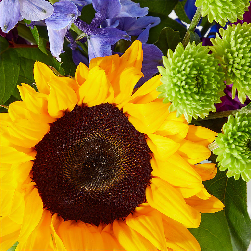 Catching Rays Bouquet –  Elise Flowers, Tamarac FL