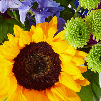 Catching Rays Bouquet –  Elise Flowers, Tamarac FL