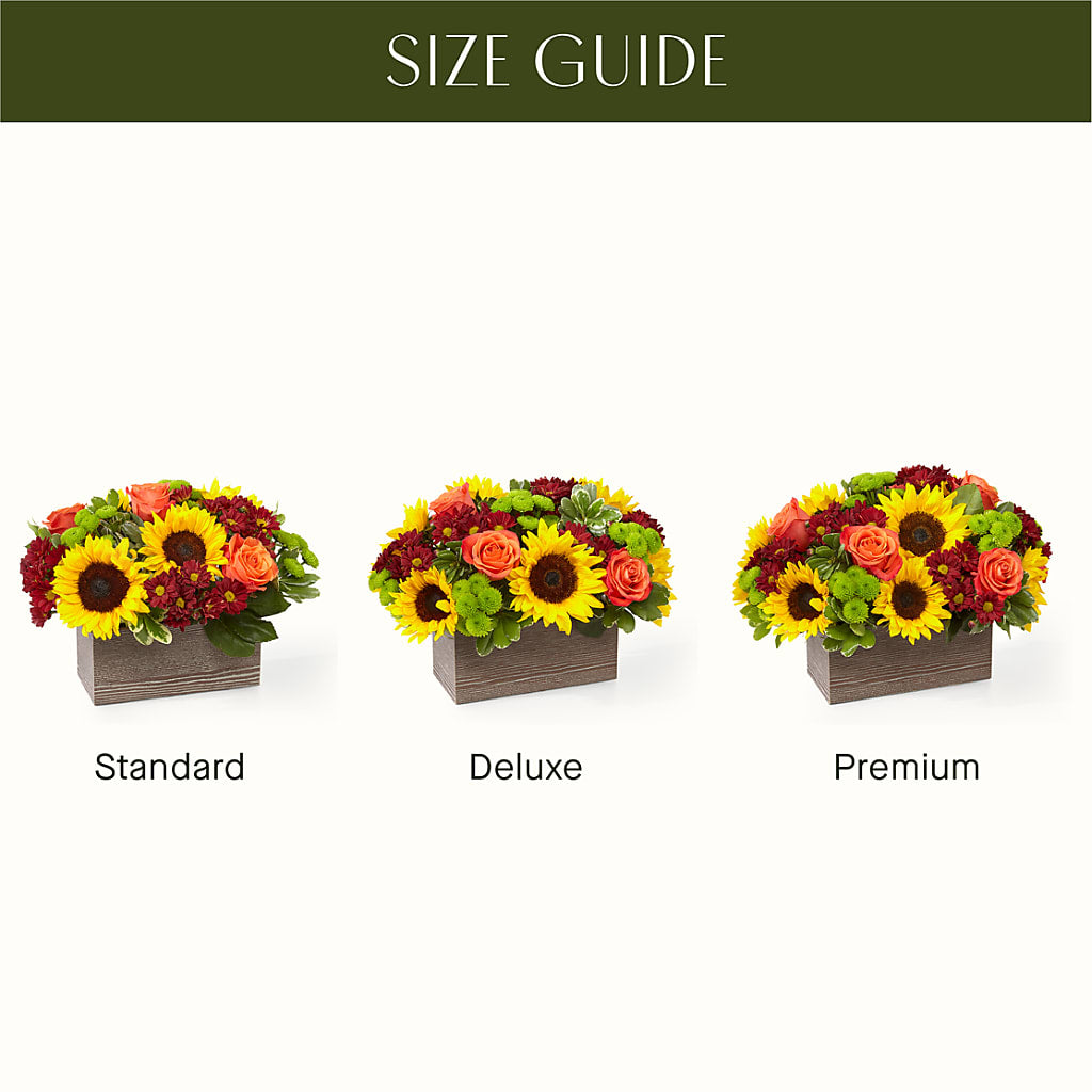 Happy Harvest Garden –  Elise Flowers, Tamarac FL