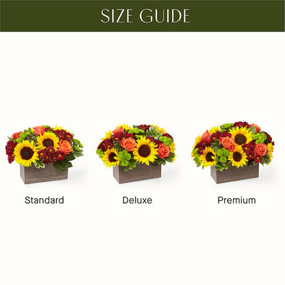 Happy Harvest Garden –  Elise Flowers, Tamarac FL