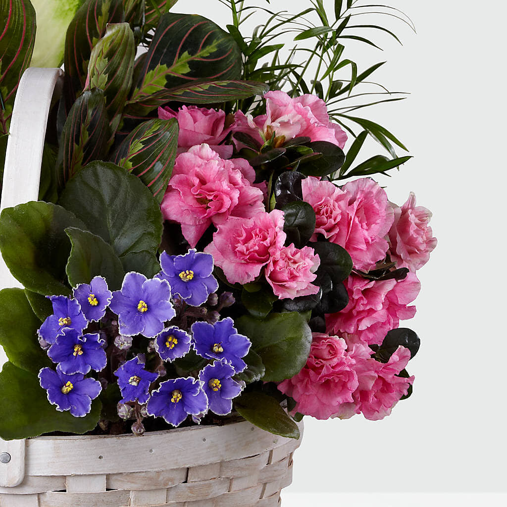 Peaceful Garden Planter –  Elise Flowers, Tamarac FL