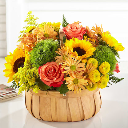 Harvest Sunflower Basket –  Elise Flowers, Tamarac FL