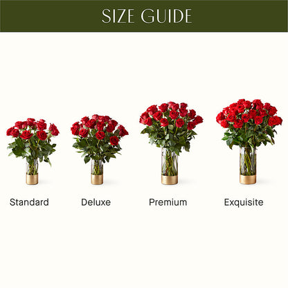 Classic Love Red Rose Bouquet –  Elise Flowers, Tamarac FL