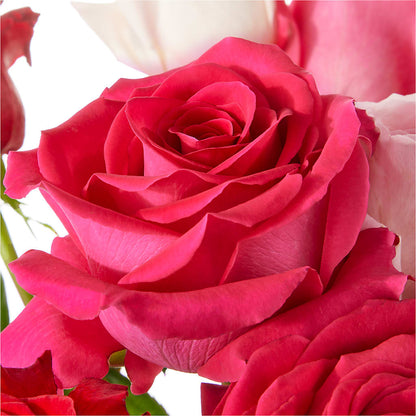Love Notes Rose Bouquet –  Elise Flowers, Tamarac FL