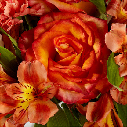 Apricot Glow Bouquet –  Elise Flowers, Tamarac FL