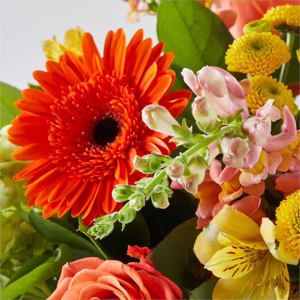 Autumn Sunshine Bouquet –  Elise Flowers, Tamarac FL