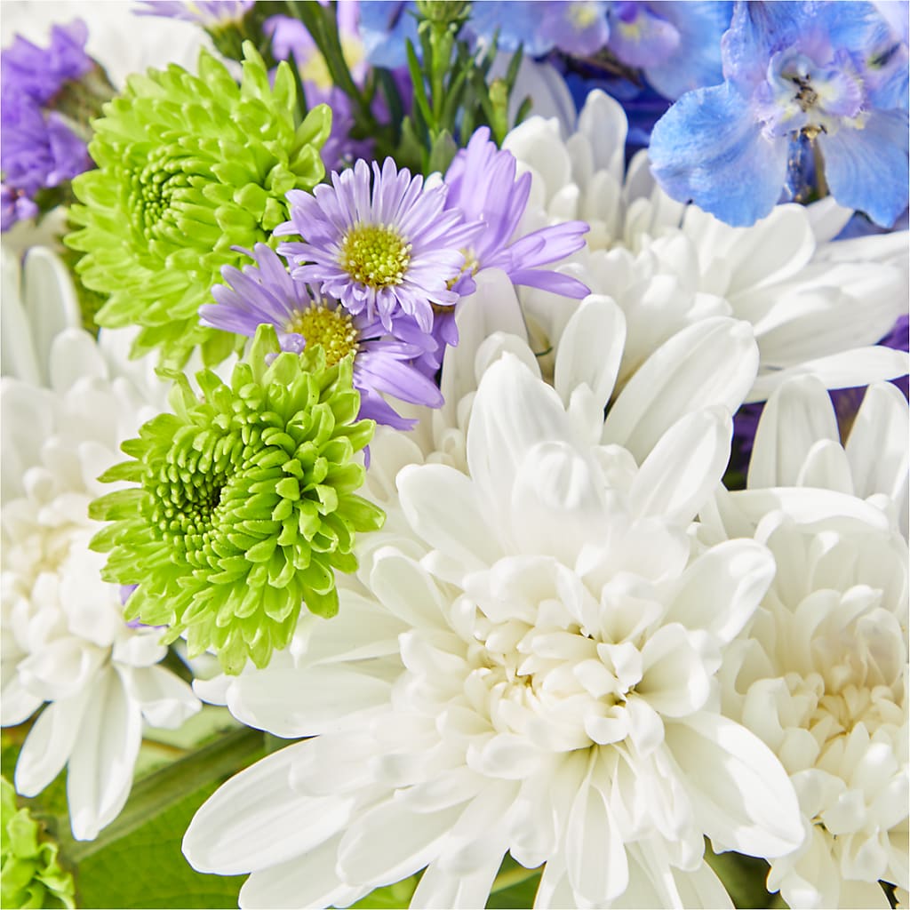 Genuine Gestures Bouquet –  Elise Flowers, Tamarac FL