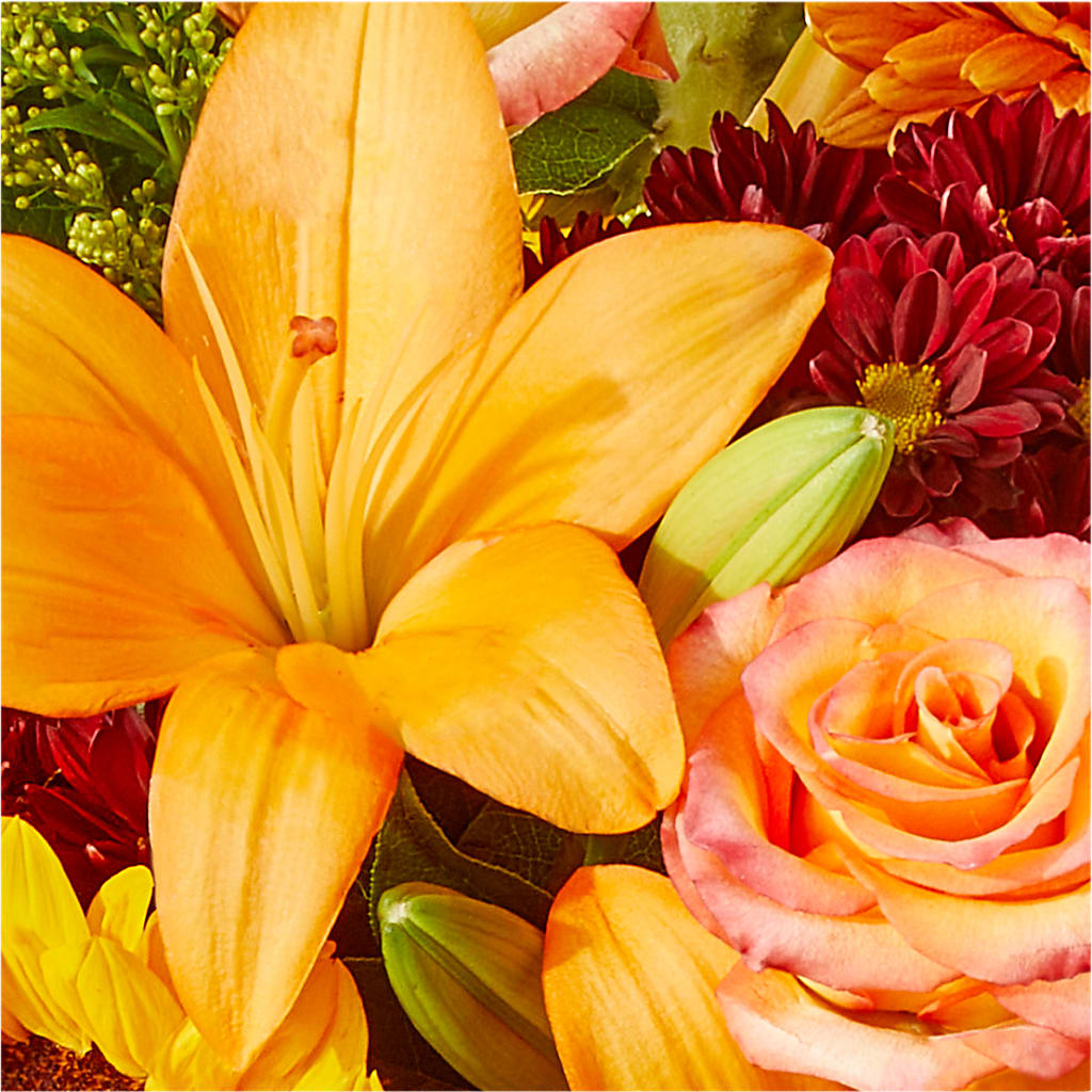 Seasons Change Bouquet –  Elise Flowers, Tamarac FL
