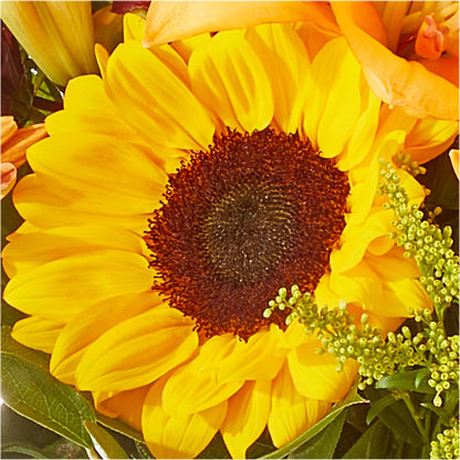 Seasons Change Bouquet –  Elise Flowers, Tamarac FL