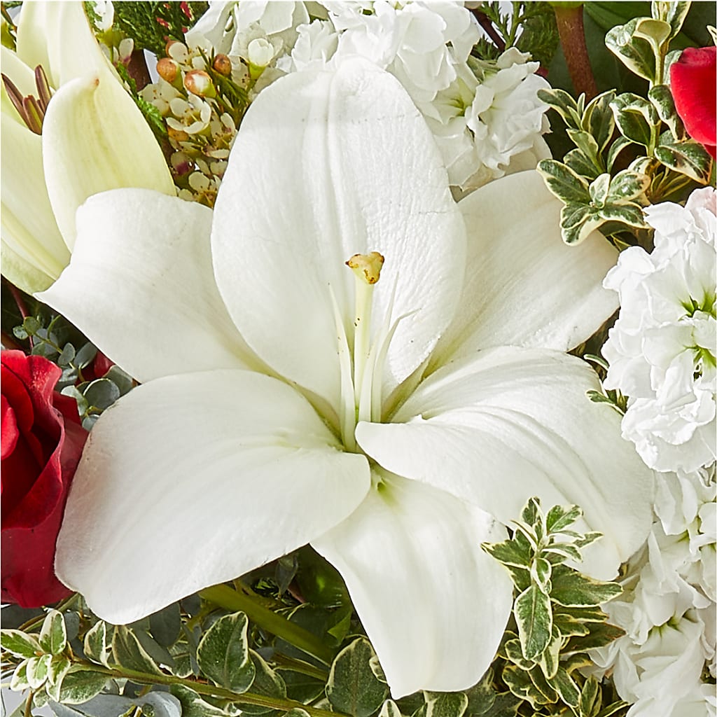 Twinkle Lights Bouquet –  Elise Flowers, Tamarac FL