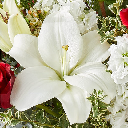 Twinkle Lights Bouquet –  Elise Flowers, Tamarac FL