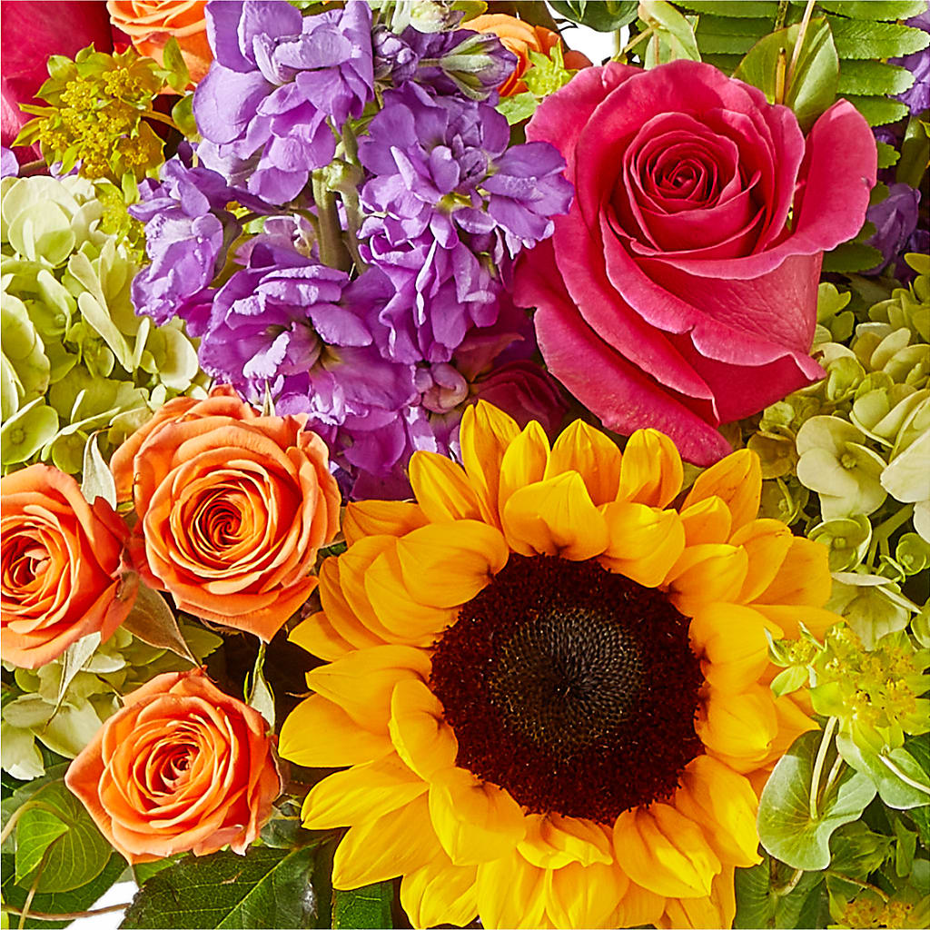 Vibrant Greetings Bouquet –  Elise Flowers, Tamarac FL