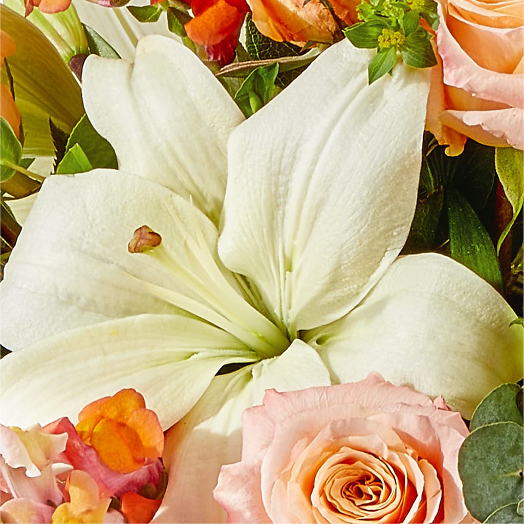Grapefruit Splash Bouquet –  Elise Flowers, Tamarac FL