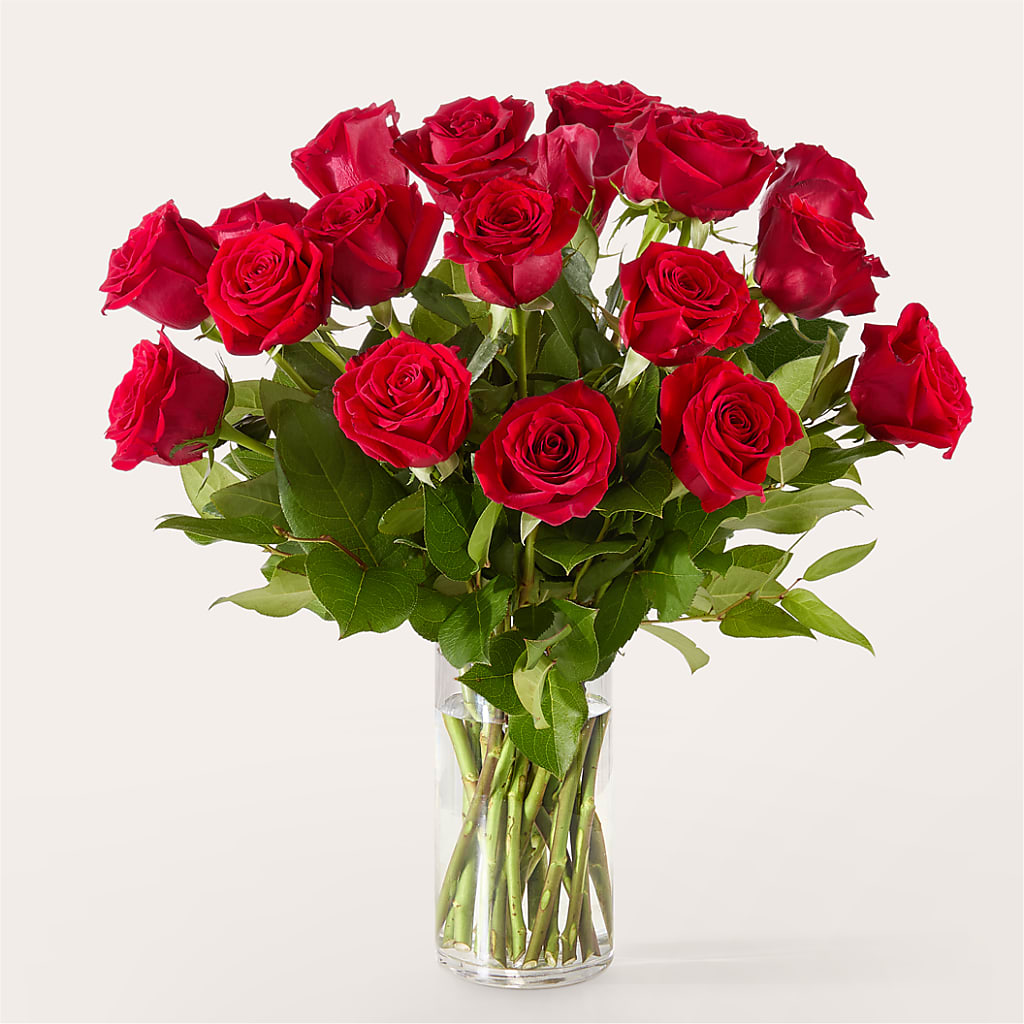 The One Red Rose Bouquet –  Elise Flowers, Tamarac FL