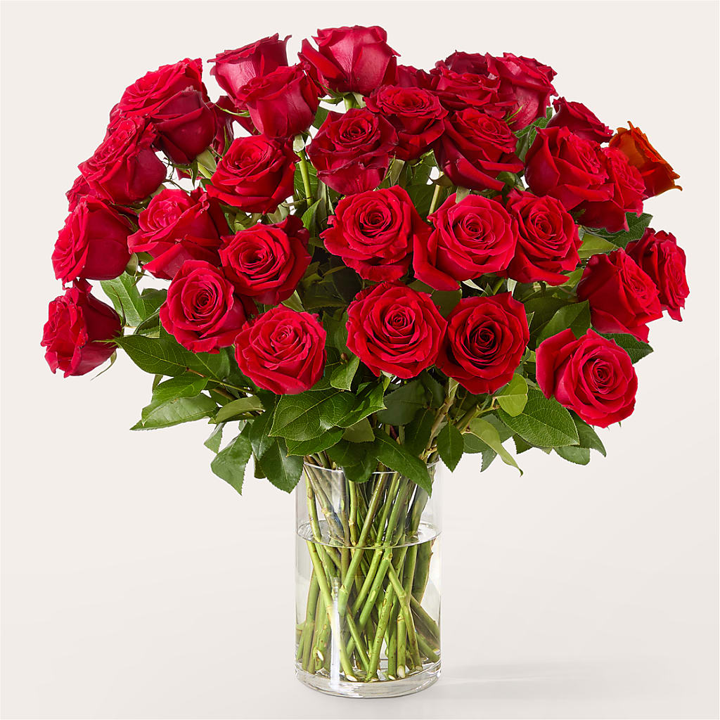 The One Red Rose Bouquet –  Elise Flowers, Tamarac FL