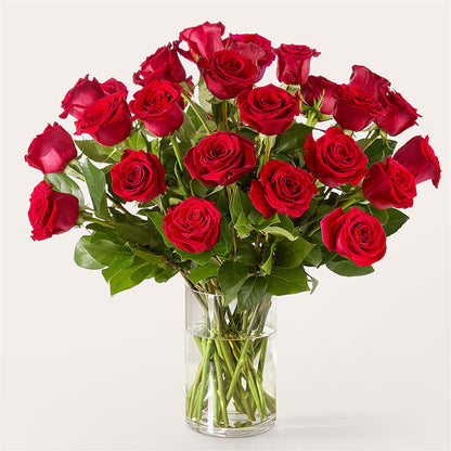The One Red Rose Bouquet –  Elise Flowers, Tamarac FL