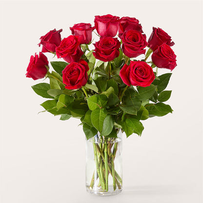 The One Red Rose Bouquet –  Elise Flowers, Tamarac FL