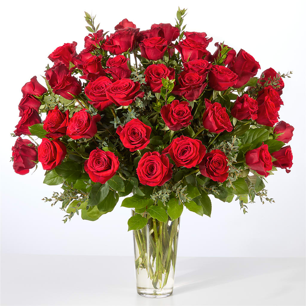 Forever Yours Fifty Stem Red Rose Bouquet –  Elise Flowers, Tamarac FL