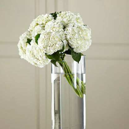 White Hydrangea Hand-Tied Bouquet –  Elise Flowers, Tamarac FL